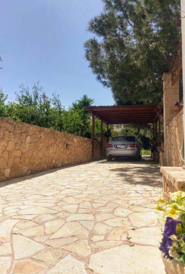 Mediterranean Garden Villa Vathi  Bagian luar foto