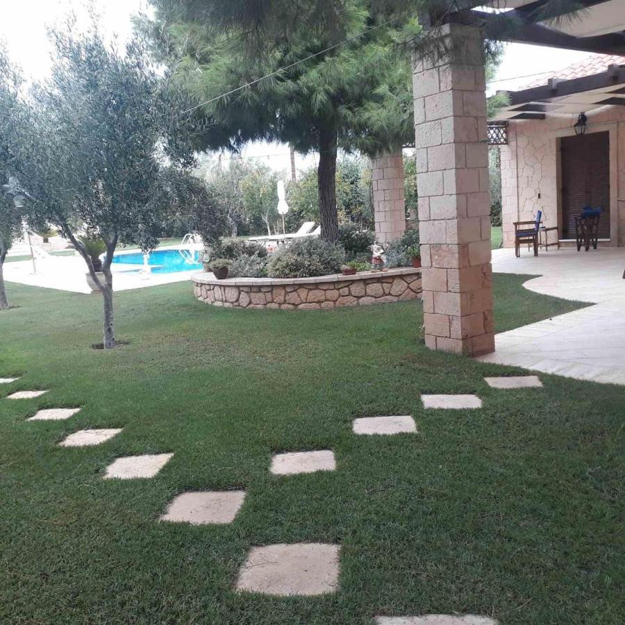 Mediterranean Garden Villa Vathi  Bagian luar foto