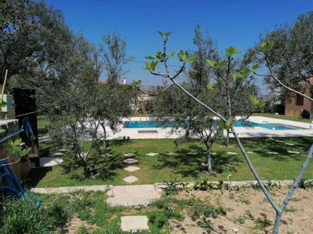 Mediterranean Garden Villa Vathi  Bagian luar foto